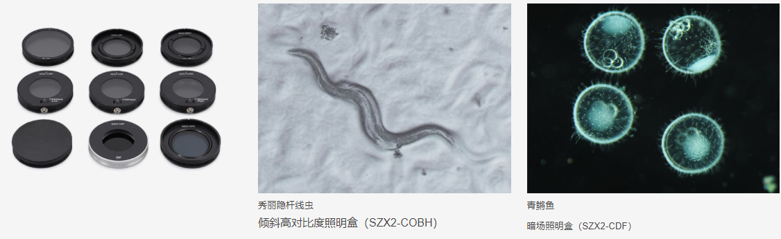 SZX16体视显微镜