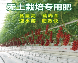 博云农业紧张筹备第十八界寿光国际蔬菜博览会
