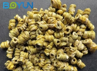 铁皮石斛颠覆水肥一体化常规使用