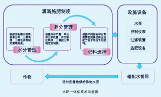 到底什么是水肥一体化？