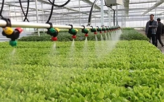干货：水肥一体化5种技术模式