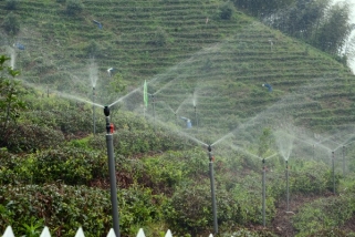 水肥一体机茶叶应用优势