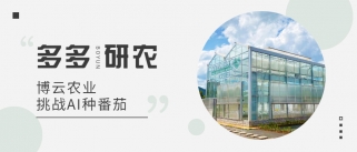 第二届“多多农研科技大赛”初赛拔得头筹，挑战AI种番茄！