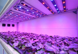 科普 | 植物生长五大元素之光照篇