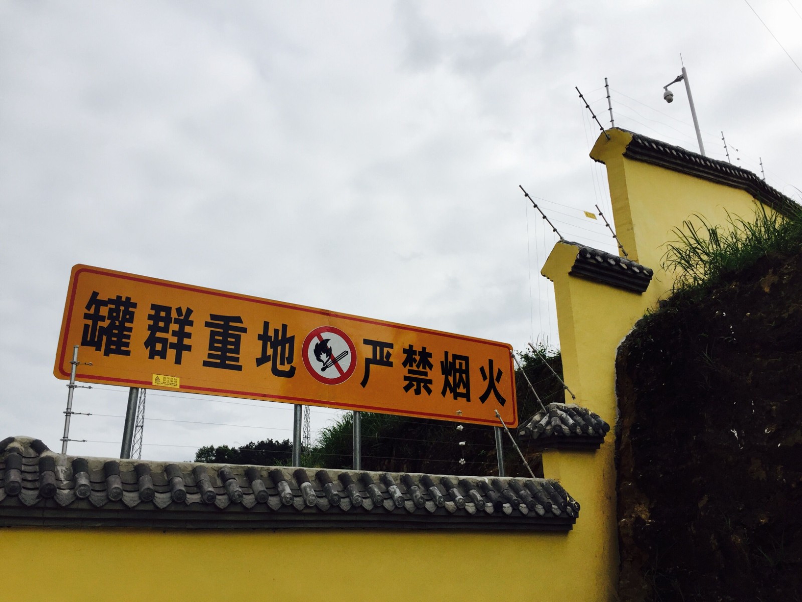 1762844530911456.jpg 1762844530911456.jpg