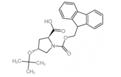 Fmoc-Hyp(tBu)-OH CAS号：122996-47-8