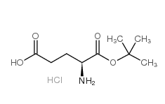 H-Glu-OtBu