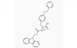 Fmoc-Tyr(Bzl)-OH CAS号： 71989-40-7