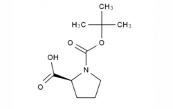 Boc-Pro-OH CAS No.: 15761-39-4