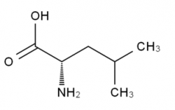 H-Leu-OH  CAS No.: 61-90-5