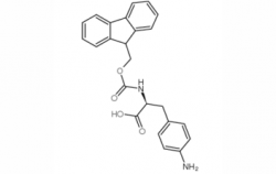 Fmoc-Phe(4-NH2)-OH  CAS No.: 95753-56-3