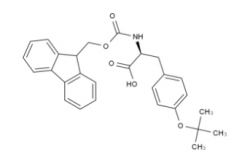 Fmoc-Tyr(tBu)-OH