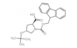 Fmoc-Hyp(tBu)-OH