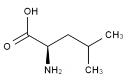 H-D-Leu-OH  CAS号：328-38-1
