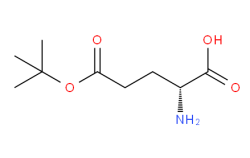 H-Glu(OtBu)-OH CAS No.: 2419-56-9