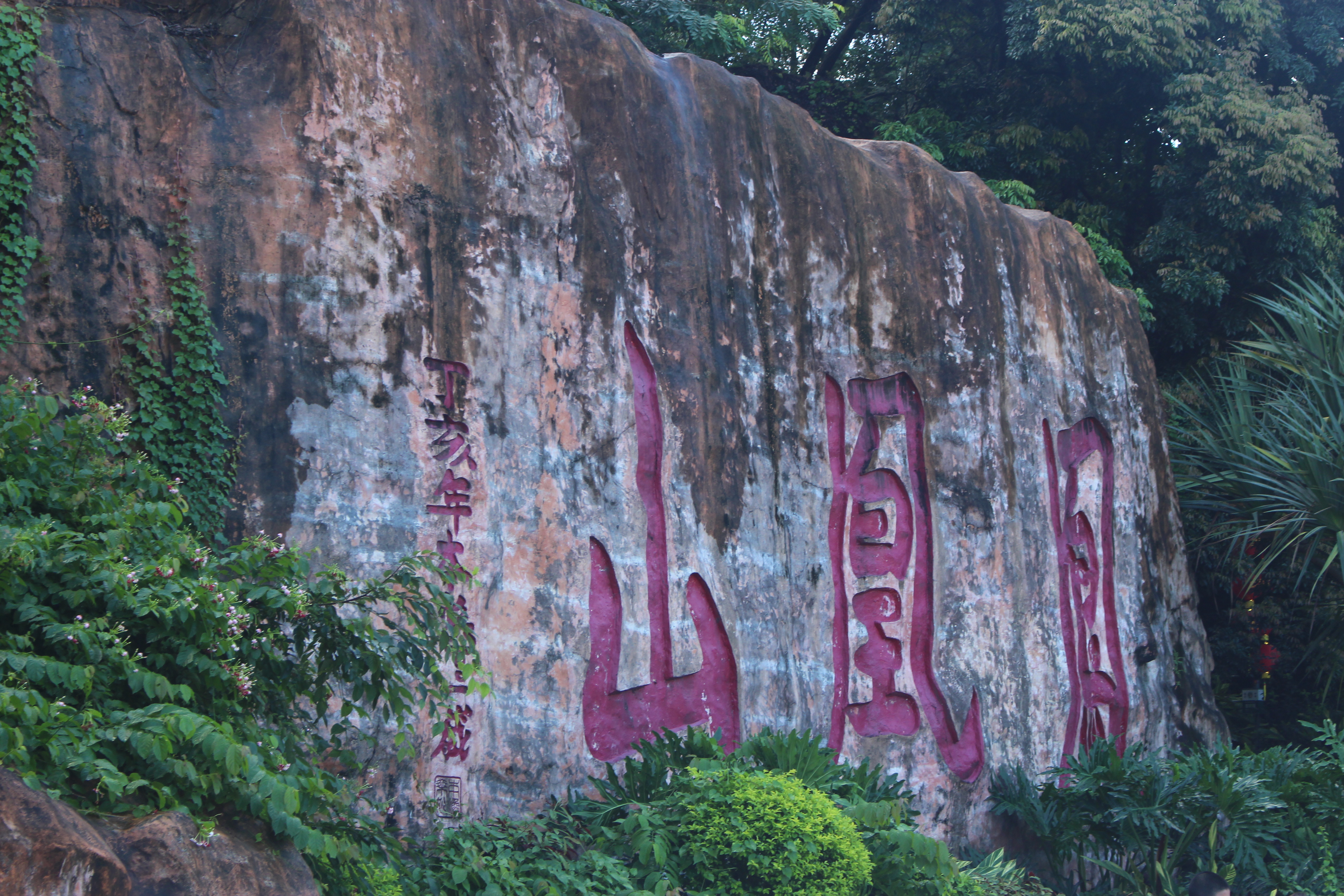 1600847538419718.jpg IMG_0723.JPG